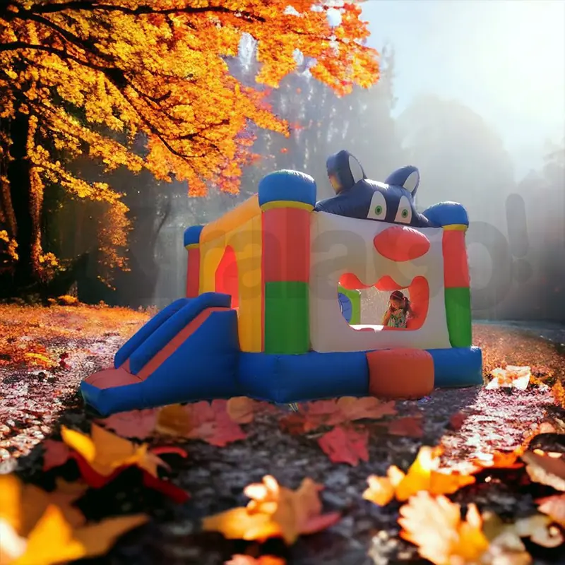 Şişme Kedi Kaydırak Kiralama