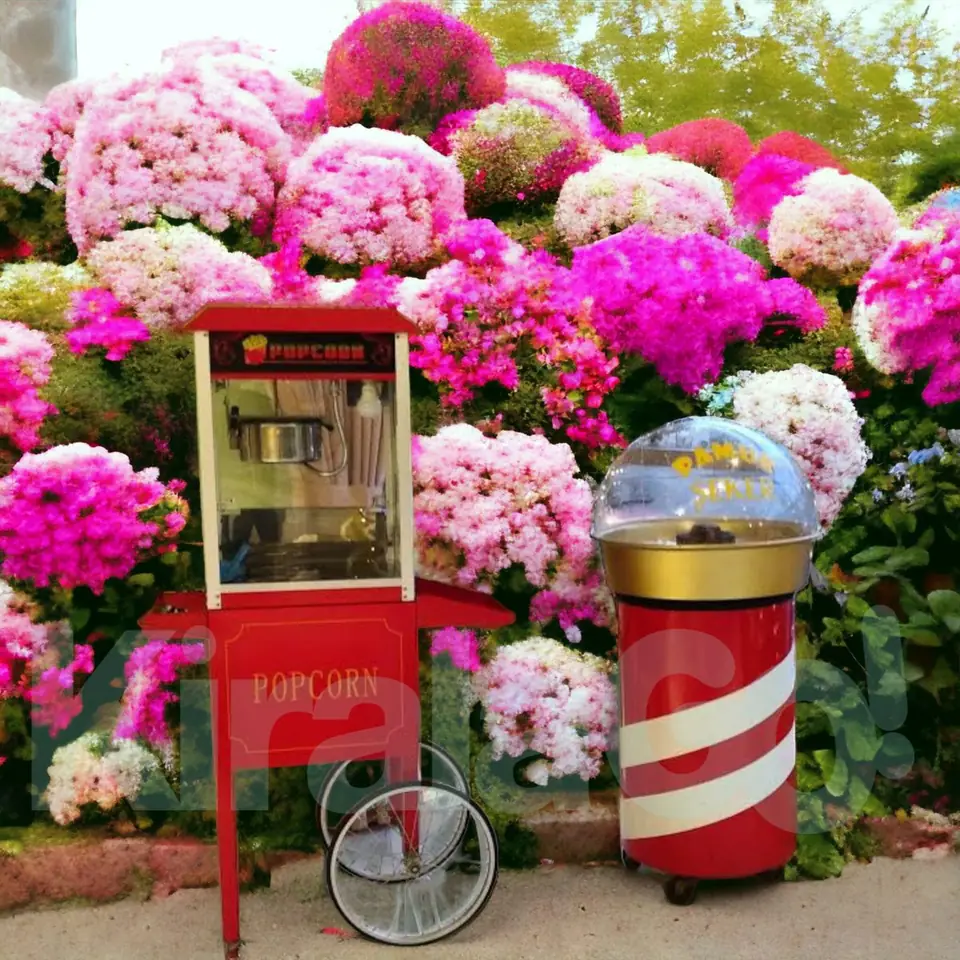 Pamuk Şeker Arabası Kiralama 3